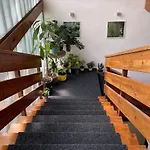 Kozí Horka U Brněnské Přehrady