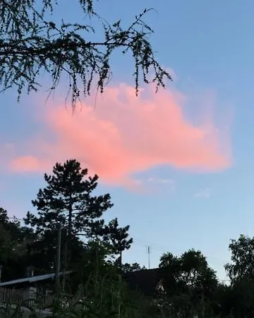 Kozi Horka U Brnenske Prehrady 布尔诺