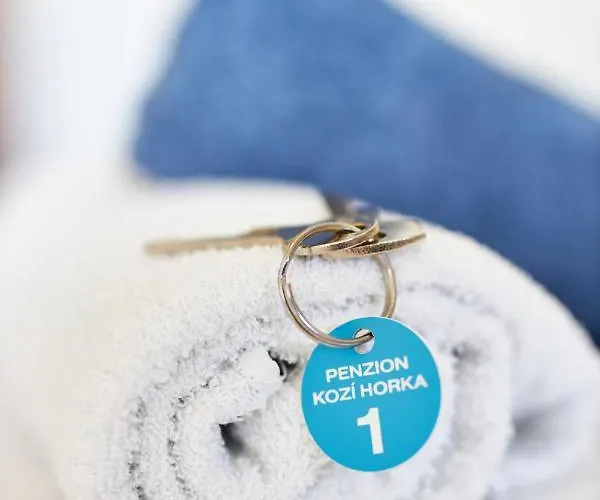 Kozi Horka U Brnenske Prehrady Guest house 3*