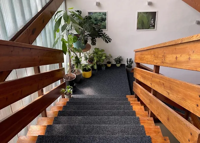 Kozi Horka U Brnenske Prehrady