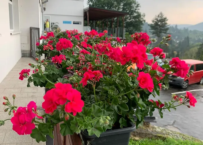 Kozi Horka U Brnenske Prehrady 3*